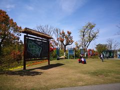 -上海长兴岛郊野公园