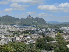 -王万妈卤猪脚(青岩交通路)