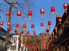 -亭林园-华藏寺