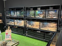 -FAIRYLAND龙族星球主题餐厅(凯丹广场店)