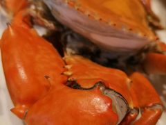 -金苑海鲜酒家(来魅力店)