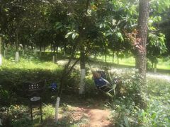 -铁山坪森林公园