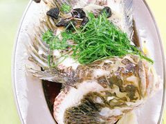 -红炎炎农家菜老字号(金水台店)