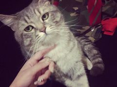 -天使咖啡(兴新街店)