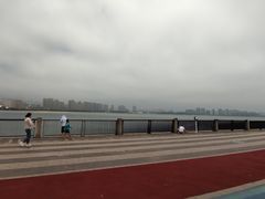 -星光岛