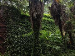 -昆明市金殿名胜区