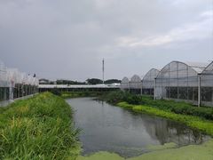 -马陆小张葡萄园农家乐