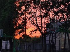 -沈阳职业技术学院