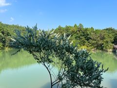 -广州白江湖森林公园