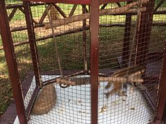 -武汉紫薇都市田园