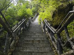 -汤旺河林海奇石景区