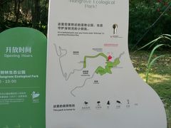 -福田红树林生态公园