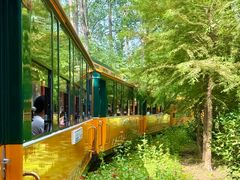 -合肥滨湖国家森林公园