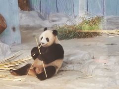 -海南热带野生动植物园
