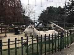 -神户市立六甲山牧场