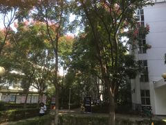 -南京理工大学紫金学院