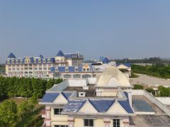 -百万葵园