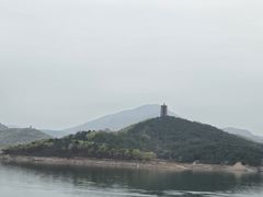 -望湖烤鱼