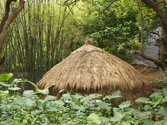 -开平碉楼文化旅游区马降龙景区