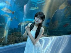 -合肥海洋世界