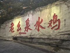 -老幺泉水鸡