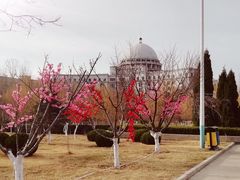 -哈尔滨工业大学(威海校区)