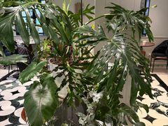 -一尺花园(安和花园店)