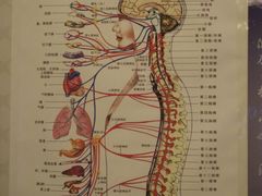 -1号足道推拿会馆