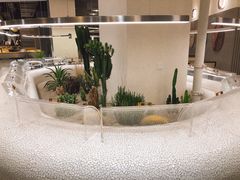 -OUR Bakery(SKP-S店)