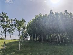 -瀛海足球主题公园