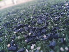 -天津市第七十八中学