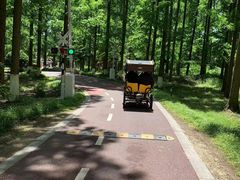 -黄海国家森林公园