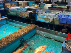 -拉完海鲜大排档(温岭店)