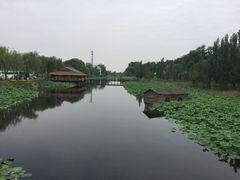 -白洋淀景区
