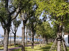 -柳鹭田园区