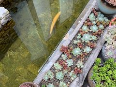 -炊烟餐厅