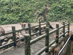 -姑婆山旅游区