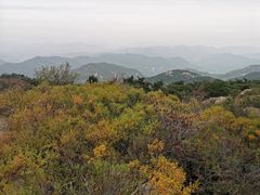 -鲁山国家森林公园