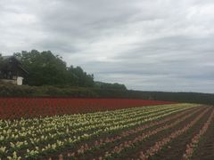 -富田农场