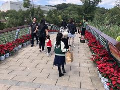 -牛岗山公园
