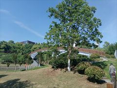 -四里河滨水生态公园