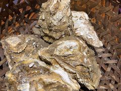 -蚝堡海鲜·威海菜·海肠捞饭·烧烤·亚洲吃蚝公司(幸福门店)