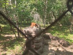 -哈尔滨北方森林动物园