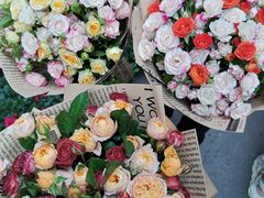 -循礼门鲜花花市(武汉循礼门店)