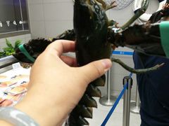 -盒马鲜生(大成店)