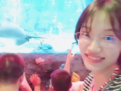 -沈阳海洋探索中心