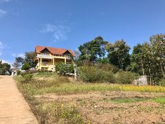 -黄色小屋