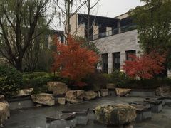 -上海崇明金茂凯悦酒店