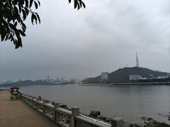 -野狸岛