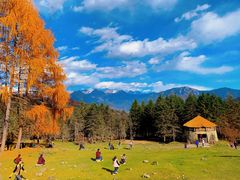 -硗碛藏寨·神木垒景区